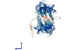 Protein Structure (PS) image for ATP-Binding Cassette, Sub-Family B (MDR/TAP), Member 1A (ABCB1A) (AA 1-1276) protein (His tag) (ABIN7562958)