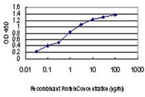 Detection limit for recombinant GST tagged KSR2 is approximately 0. (KSR2 抗体  (AA 411-500))
