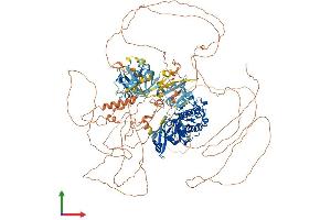 AlphaFold protein structure predicition of Human Recombinant PASK Protein, UniprotID Q96RG2