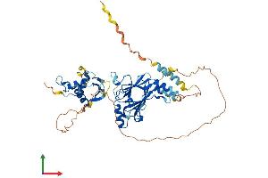 AlphaFold protein structure predicition of Human Recombinant IRF6 Protein, UniprotID O14896