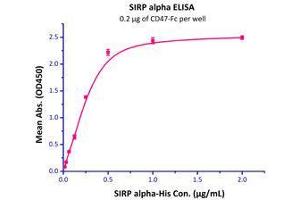 Immobilized Human CD47, Fc Tag (HPLC-verified)  with a linear range of 16-250 ng/mL.