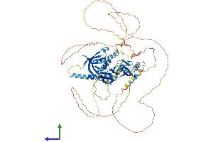 AlphaFold protein structure predicition of Mouse Recombinant Apba2 Protein, UniprotID P98084