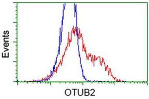 HEK293T cells transfected with either RC209650 overexpress plasmid (Red) or empty vector control plasmid (Blue) were immunostained by anti-OTUB2 antibody (ABIN2453409), and then analyzed by flow cytometry. (OTUB2 抗体)