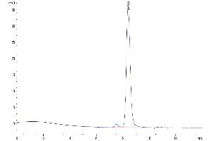 Size-exclusion chromatography-High Pressure Liquid Chromatography (SEC-HPLC) image for CD4 (CD4) (AA 27-394) protein (His tag) (ABIN7274187)