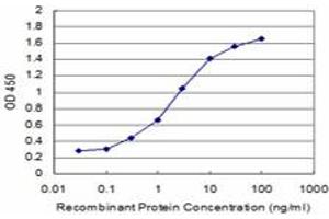 Detection limit for recombinant GST tagged KLF1 is approximately 0. (KLF1 抗体  (AA 183-237))