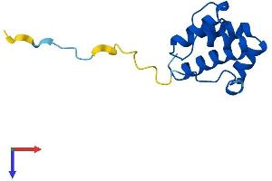 Protein Structure (PS) image for Placenta-Specific 8 (PLAC8) (AA 1-115) protein (His tag) (ABIN7550827)