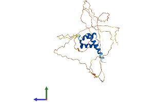 AlphaFold protein structure predicition of Mouse Recombinant Hoxd13 Protein, UniprotID P70217