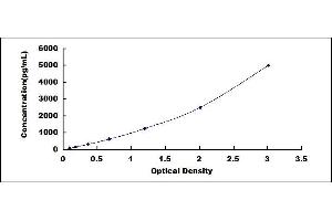 Typical standard curve (TDGF1 ELISA 试剂盒)