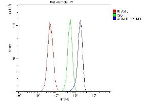 Flow Cytometry analysis of HL-60 cells using anti-ACACB antibody (ABIN7602757). (Acetyl-CoA Carboxylase beta 抗体  (C-Term))