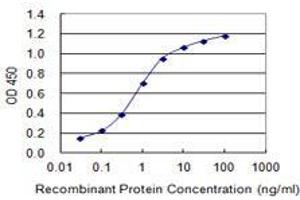 ELISA image for anti-Solute Carrier Family 24 (Sodium/potassium/calcium Exchanger), Member 1 (SLC24A1) (AA 162-268) antibody (ABIN2565899)