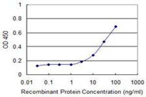 Detection limit for recombinant GST tagged ROR2 is approximately 3ng/ml as a capture antibody. (ROR2 抗体  (AA 34-143))