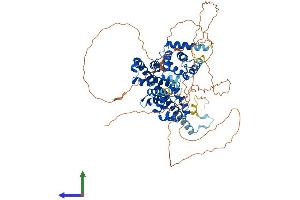 AlphaFold protein structure predicition of Mouse Recombinant Tbc1d14 Protein, UniprotID Q8CGA2