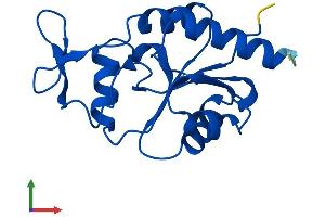 AlphaFold protein structure predicition of Mouse Recombinant Mdp1 Protein, UniprotID Q9D967 (MDP1 Protein (AA 1-164) (His tag))