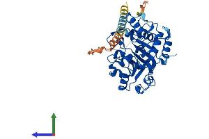Protein Structure (PS) image for ST6 beta-Galactosamide alpha-2,6-Sialyltranferase 1 (ST6GAL1) (AA 1-403) protein (His tag) (ABIN7557848)