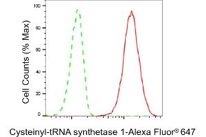 Flow cytometric analysis of Cysteinyl-tRNA synthetase 1 expression in HT- cells using Cysteinyl-tRNA synthetase 1 antibody (ABIN7800919), 1:2,000). (Recombinant Cysteinyl-TRNA Synthetase 1 抗体)