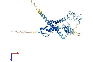 RNF144A Protein (AA 1-292) (His tag)