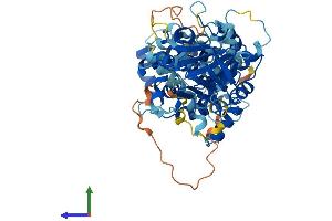 AlphaFold protein structure predicition of Mouse Recombinant Tbc1d24 Protein, UniprotID Q3UUG6