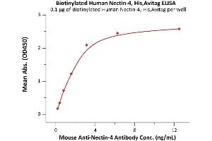 ELISA image for Poliovirus Receptor-Related 4 (PVRL4) (AA 32-349) (Active) protein (His tag,AVI tag,Biotin) (ABIN6938938)