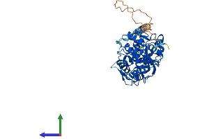Protein Structure (PS) image for ST8 alpha-N-Acetyl-Neuraminide alpha-2,8-Sialyltransferase 5 (ST8SIA5) (AA 1-412) protein (His tag) (ABIN7556663)