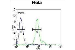 Flow Cytometry (FACS) image for anti-CTP Synthase II (CTPS2) antibody (ABIN3003907) (CTPS2 抗体)