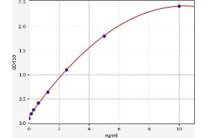 Lectin, Galactoside-Binding, Soluble, 8 (LGALS8) ELISA Kit