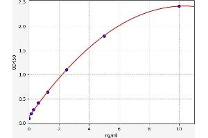 Typical standard curve (LGALS8 ELISA 试剂盒)