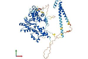 AlphaFold protein structure predicition of Mouse Recombinant Actr5 Protein, UniprotID Q80US4