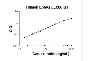 Typical Standard Curve