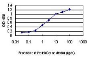 Detection limit for recombinant GST tagged DDIT3 is approximately 0. (DDIT3 抗体  (AA 1-90))