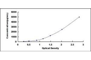 Typical standard curve (GDF9 ELISA 试剂盒)