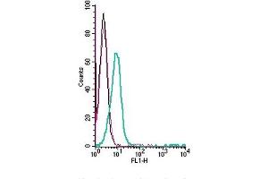 Cell surface detection of GABRA1 by direct flow cytometry in live intact human Jurkat T-cell leukemia cells: + Rabbit IgG Isotype Control-FITC (ABIN7582044).