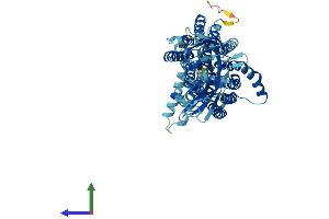 Protein Structure (PS) image for Solute Carrier Family 15 (Oligopeptide Transporter), Member 1 (SLC15A1) (AA 1-708) protein (His tag) (ABIN7555310)
