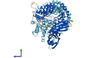 Protein Structure (PS) image for Coatomer Protein Complex, Subunit gamma 2 (COPG2) (AA 1-871) protein (His tag) (ABIN7553539)