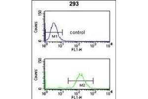 Flow Cytometry (FACS) image for anti-Survival Motor Neuron Domain Containing 1 (SMNDC1) (AA 11-41), (N-Term) antibody (ABIN653319)