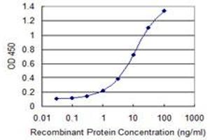 Detection limit for recombinant GST tagged PITPNB is 0. (PITPNB 抗体  (AA 181-271))