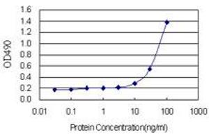 Sandwich ELISA detection sensitivity ranging from 3 ng/mL to 100 ng/mL. (SPR (人) Matched Antibody Pair)
