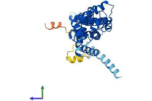 Protein Structure (PS) image for ELMO/CED-12 Domain Containing 1 (ELMOD1) (AA 1-326) protein (His tag) (ABIN7557350)