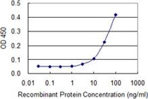 Detection limit for recombinant GST tagged SCG5 is 3 ng/ml as a capture antibody. (SCG5 抗体  (AA 59-159))