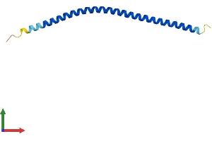 Protein Structure (PS) image for Vesicle-Associated Membrane Protein 8 (Endobrevin) (VAMP8) (AA 1-100) protein (His tag) (ABIN7556004)