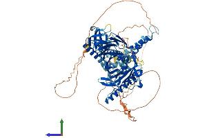 Protein Structure (PS) image for Oxysterol Binding Protein-Like 10 (OSBPL10) (AA 1-764) protein (His tag) (ABIN7554860)