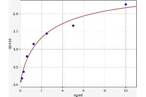 Typical standard curve (MMP1 ELISA 试剂盒)