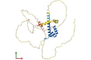 Protein Structure (PS) image for Paired-Like Homeobox 2b (PHOX2B) (AA 1-314) protein (His tag) (ABIN7562363)