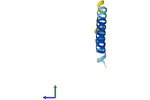AlphaFold protein structure predicition of Human Recombinant PLN Protein, UniprotID P26678