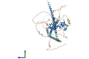 Protein Structure (PS) image for SKI-Like Oncogene (SKIL) (AA 1-684) protein (His tag) (ABIN7546126)