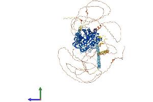 Protein Structure (PS) image for Histone Deacetylase 5 (HDAC5) (AA 1-1113) protein (His tag) (ABIN7565303)