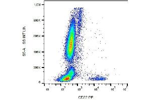 Surface staining of CD22 in human peripheral blood cells with anti-CD22 (IS7) PE. (CD22 抗体  (PE))