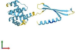 Protein Structure (PS) image for COMM Domain Containing 4 (COMMD4) (AA 1-199) protein (His tag) (ABIN7546679)