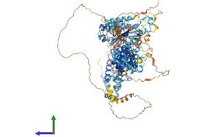 Protein Structure (PS) image for ATPase Family, AAA Domain Containing 2 (ATAD2) (AA 1-1040) protein (His tag) (ABIN7564547)