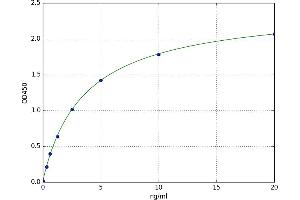 Adenosine Deaminase (ADA) ELISA Kit