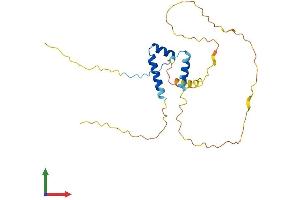 Protein Structure (PS) image for Frequently Rearranged in Advanced T-Cell Lymphomas 2 (FRAT2) (AA 1-233) protein (His tag) (ABIN7547765)
